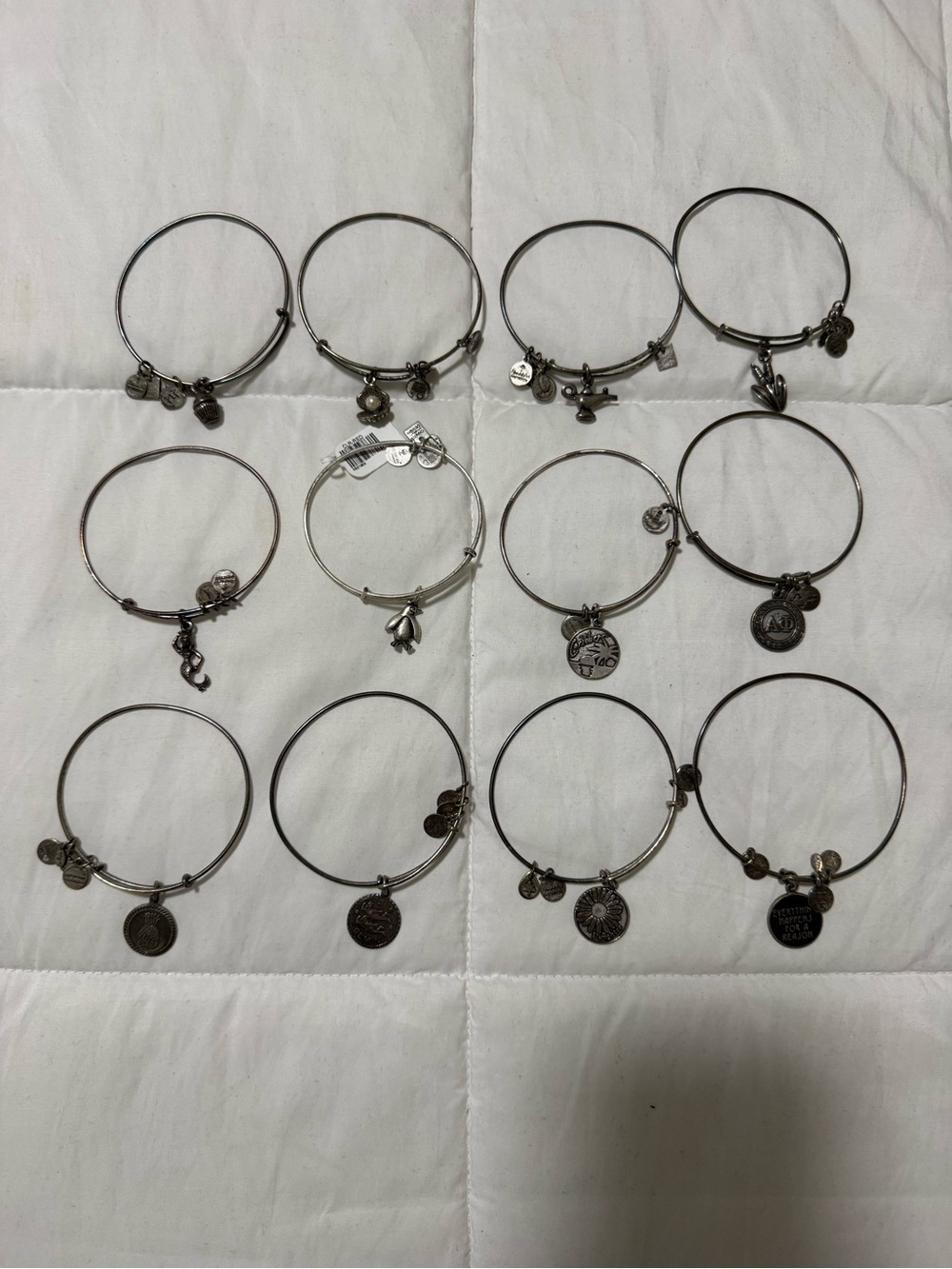 Alex and Ani Silver Charm Bangle Set of 12